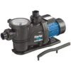 Clarke SPP10A 1HP Self-priming Swimming Pool Pump -tool 7175031