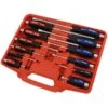 Neilsen CT1427 Screwdriver Set - 12pc (flat -tool th41518614535CT1427