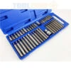 Toolzone 40Pc Hex/ Torx/ Spline Bits In Case - 4, 5, 6, 7, 8, 10 And 12mm - T20, T25, T30, T40, T45, T50, T55 -tool th 37e34fe2 e783 47f6 b82e cc3ba2ad90d7